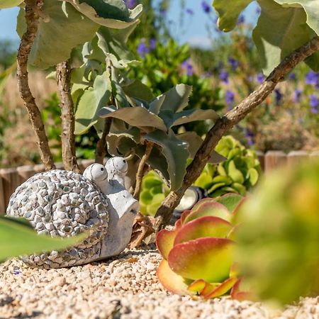 S'Hortet Alcudia  Bagian luar foto